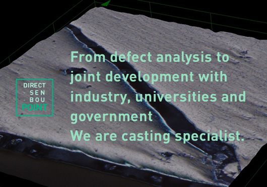 From defect analysis to joint development with industry, universities and government We are casting specialist.